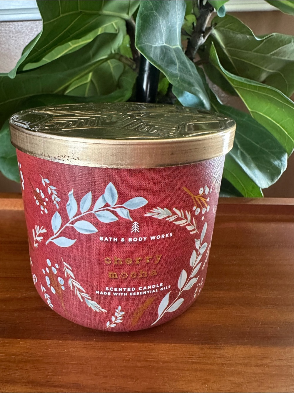 Bath & Body Works Cherry Mocha Scented home New